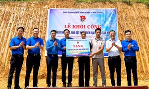 Sôi nổi chiến dịch Kỳ nghỉ hồng, Mùa hè xanh ở Tuyên Quang