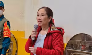 Tạm đình chỉ chức vụ hiệu trưởng Trường tiểu học Trưng Vương