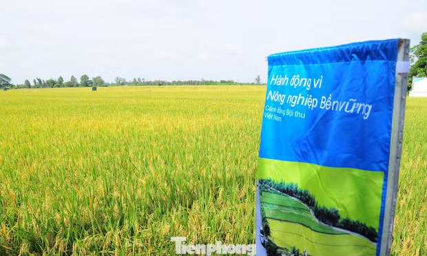 Cần Thơ đẩy mạnh sử dụng phân bón hữu cơ để giảm phát thải