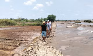Người dân phản ánh, đơn vị thi công đắp bờ đê đất quá thấp, khiến nước từ khu vực bơm cát tràn vào ao nuôi và ruộng lúa.
