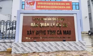 Cà Mau kiểm điểm cá nhân liên quan sai sót trong xét nghỉ chế độ 178