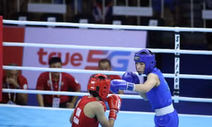 Võ thuật Việt Nam tại SEA Games 33: Bản lĩnh thép giữa cuộc chơi khắc nghiệt
