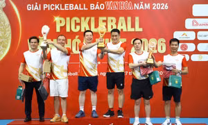 Giải Pickleball Báo Văn Hóa 2026: Sân chơi thể thao kết nối cộng đồng