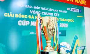 24 đội tranh tài tại VCK Giải bóng đá Nhi đồng U11 Toàn quốc 2026 