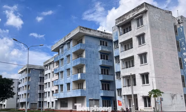 TPHCM: Gần 1.000 căn hộ tái định cư được đề xuất làm nhà ở công nhân 