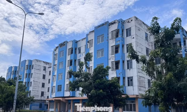 TPHCM: Gần 1.000 căn hộ tái định cư được đề xuất làm nhà ở công nhân 