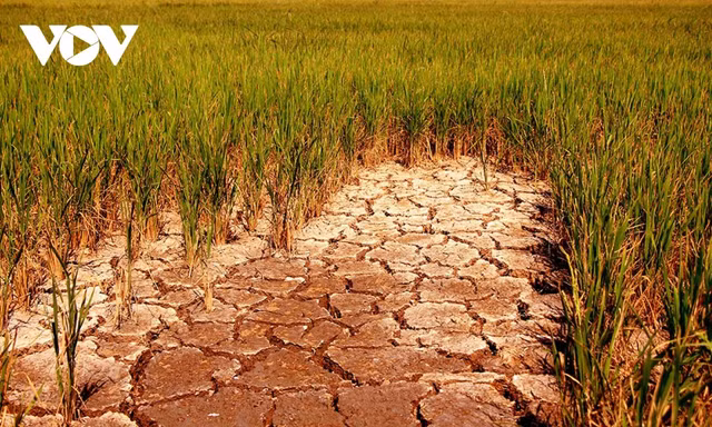 Dự báo mùa khô khốc liệt