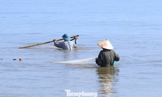 Nghề 'đi giật lùi' kiếm bộn tiền lúc sáng sớm