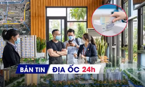Địa ốc 24H: Nhà đất ngoài đê 'đóng băng' vì lo vướng quy hoạch đại dự án; lộ DN bất động sản nợ thuế 'khủng'