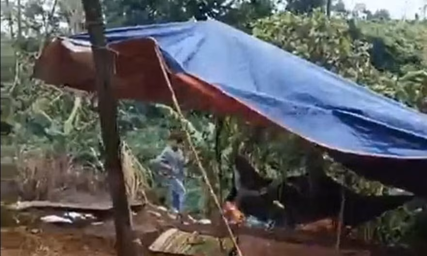 Lời khai của nam giáo viên hại nữ nhân viên thư viện cùng trường 