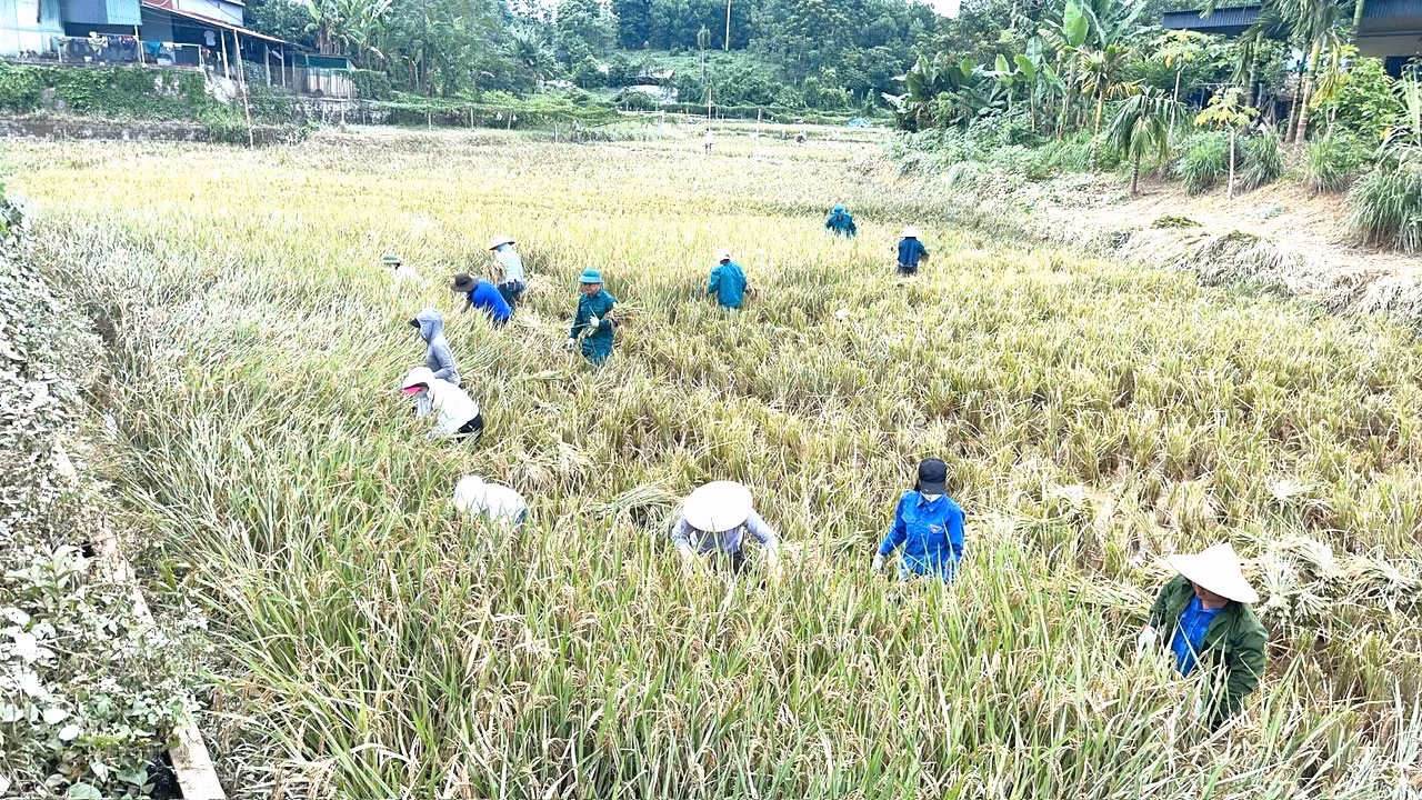 kim-binh.jpg