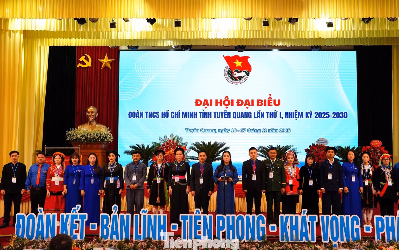 tp-dh16.jpg