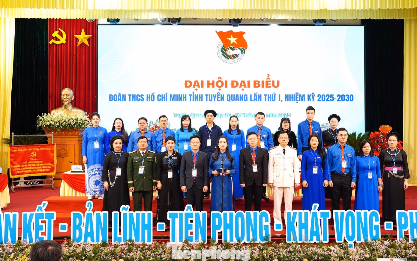 tp-dh14-copy.jpg