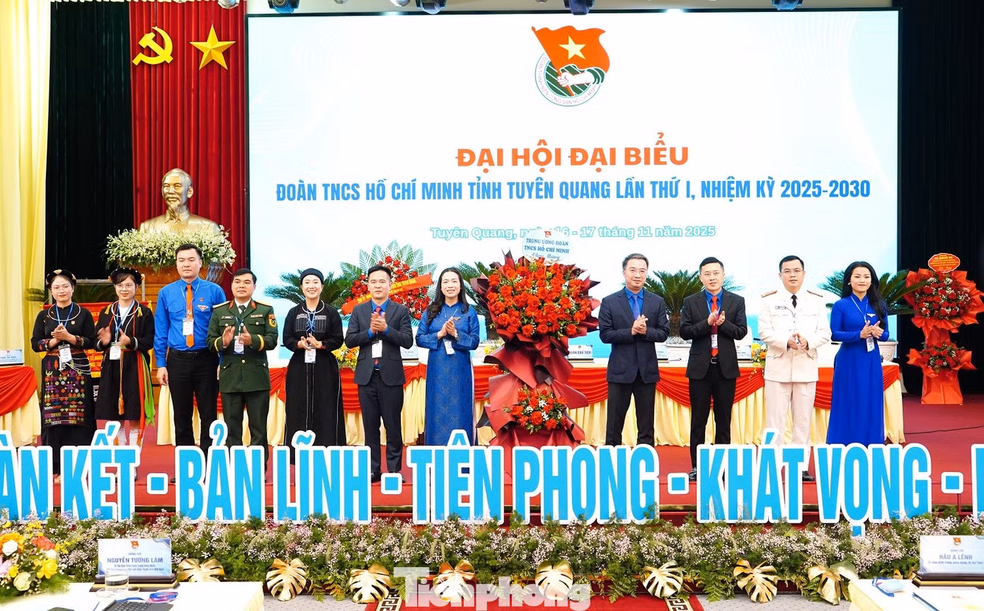 tp-dh13-copy.jpg