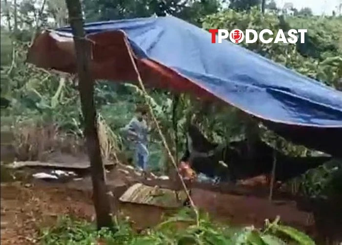 NÓNG 14/8: Xác định nghi phạm vụ nữ nhân viên trường học tử vong tại rẫy càphê