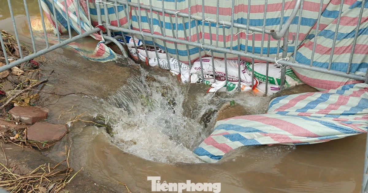 tienphong.vn