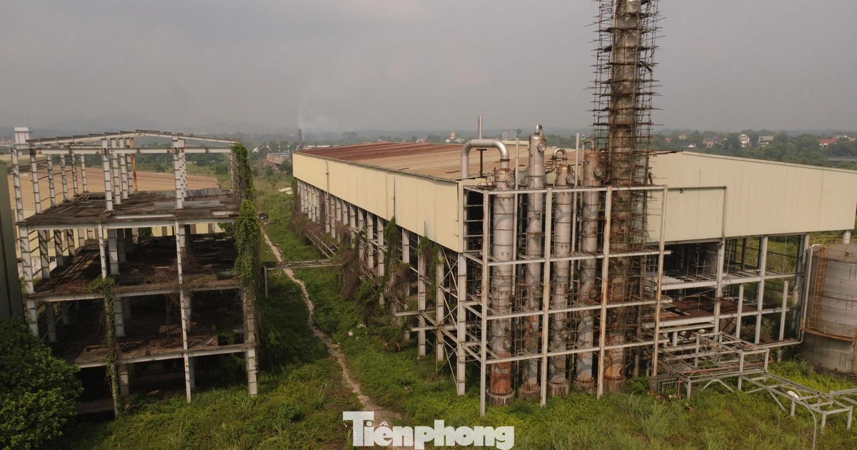 tienphong.vn