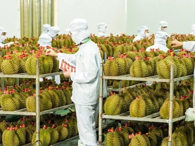 Cảnh báo thị trường xuất khẩu nâng chuẩn, nông sản Việt phải thay đổi từ vùng trồng
