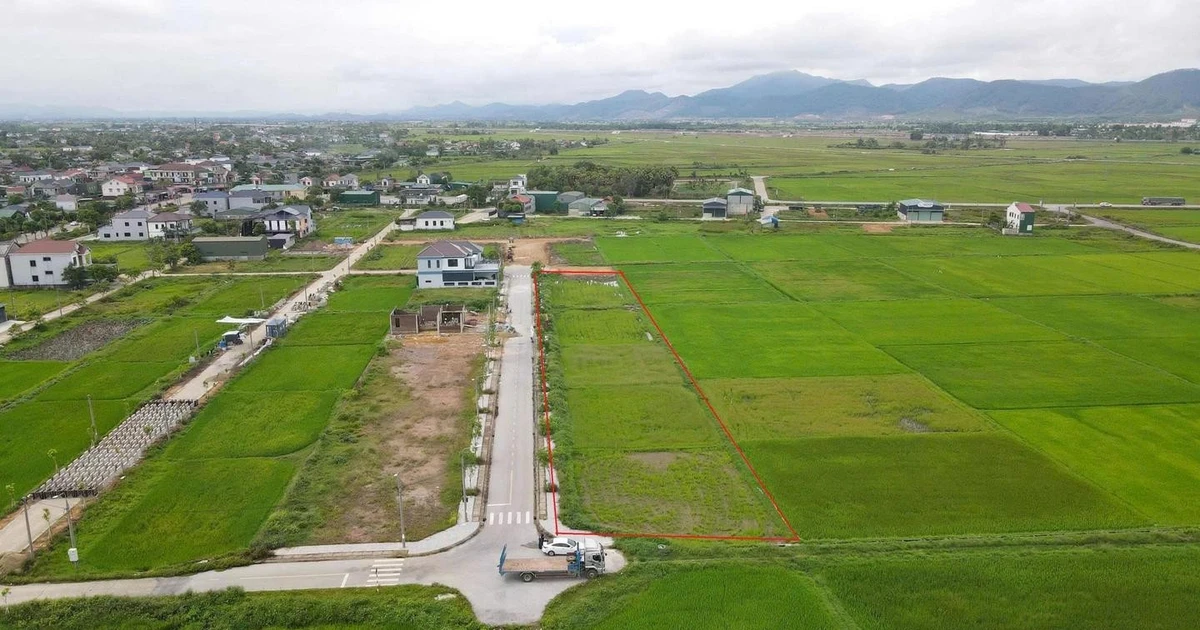 Sau "sốt nóng", đấu giá đất vùng quê trầm lắng, nhiều nơi ‘trắng hồ sơ’