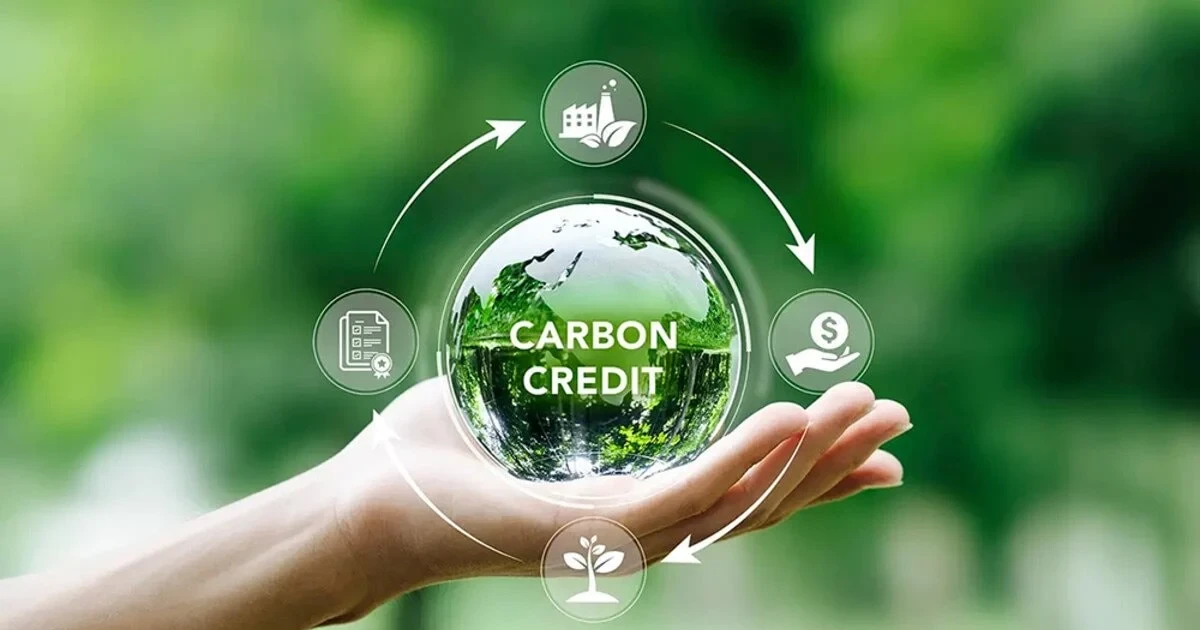 Sàn giao dịch carbon Việt Nam hoạt động thế nào?