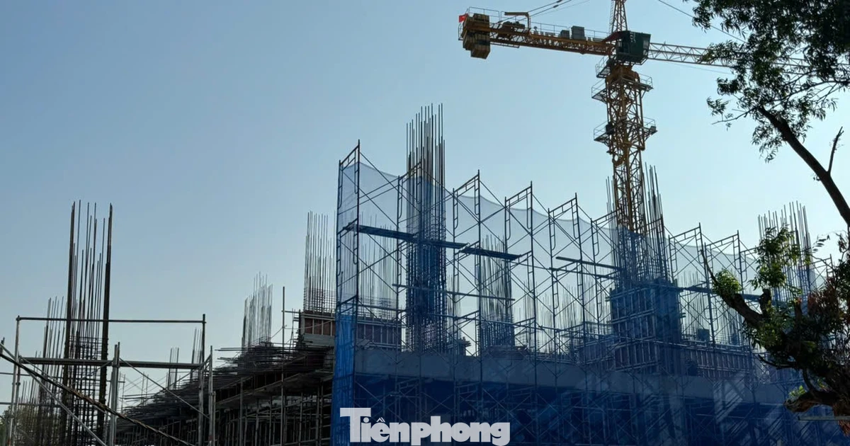 Giá căn hộ ở TPHCM giảm mạnh sau sáp nhập