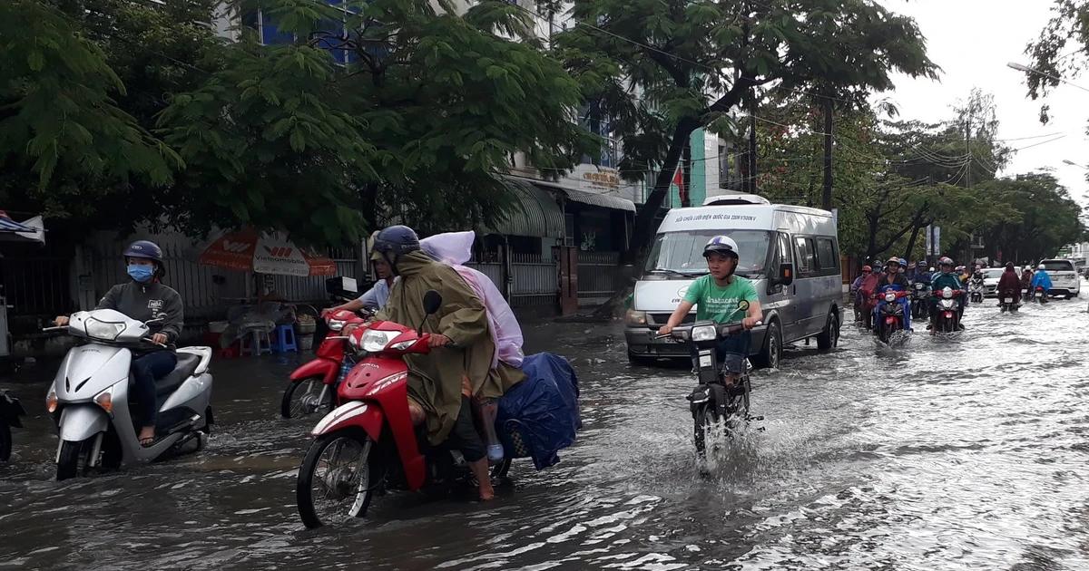 Kiến nghị kiểm điểm nguyên phó chủ tịch tỉnh Cà Mau liên quan dự án 20 năm trên giấy