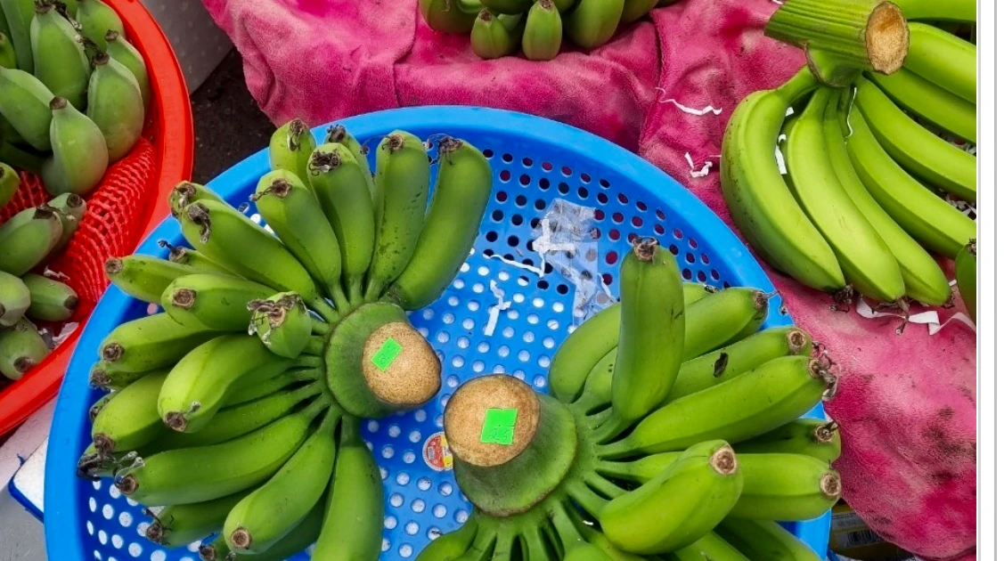 tienphong.vn