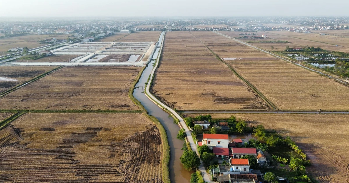 tienphong.vn