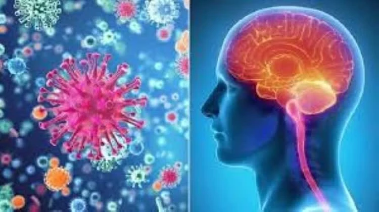 Cà Mau ghi nhận thêm 2 ca viêm não mô cầu, một người tử vong