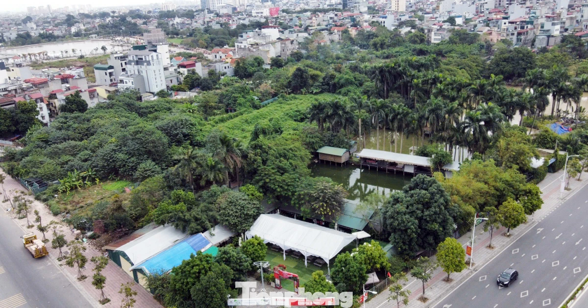 tienphong.vn
