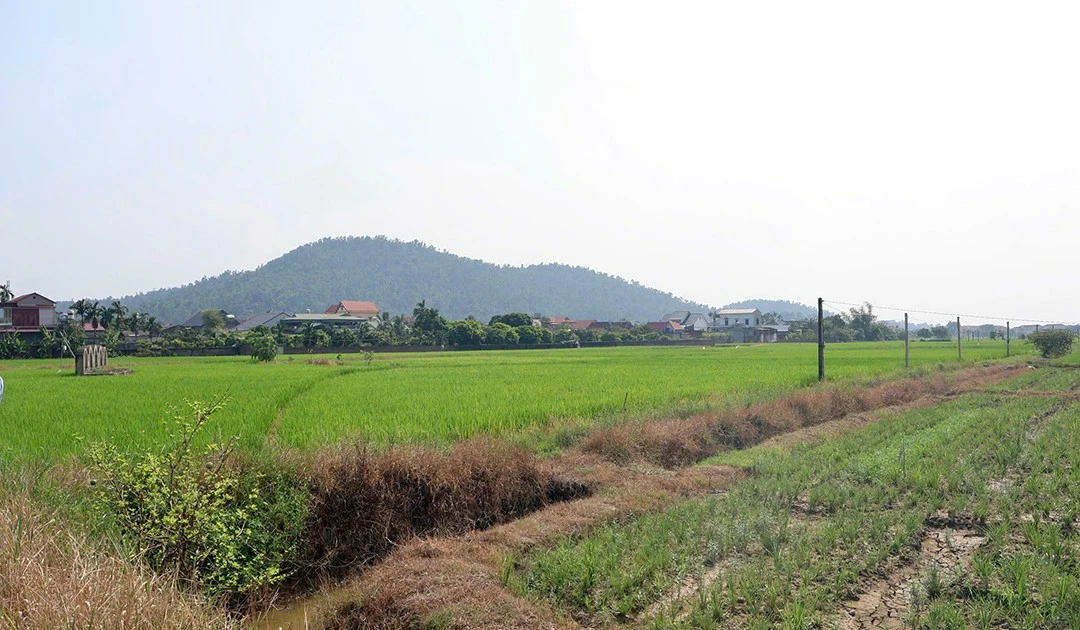 Hải Phòng gấp rút GPMB làm đường sắt tốc độ cao Hà Nội - Quảng Ninh