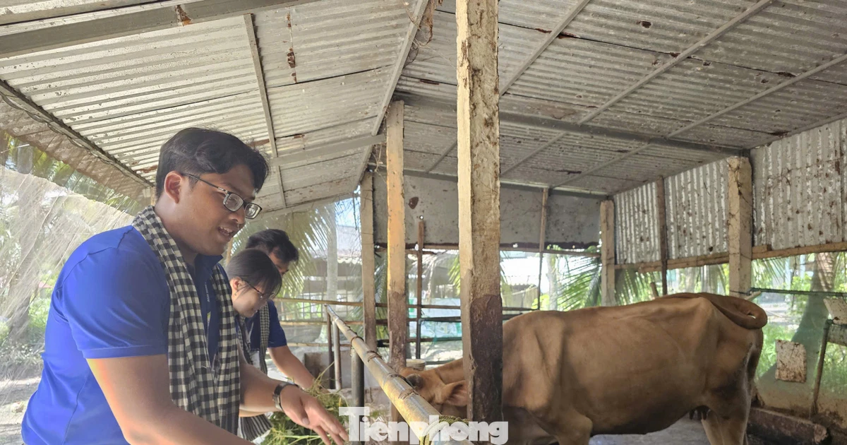Bài 1: Sinh viên tình nguyện truyền cảm hứng cho nông dân