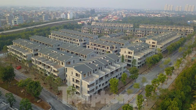 tienphong.vn