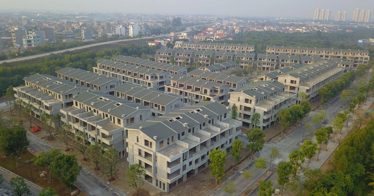 tienphong.vn