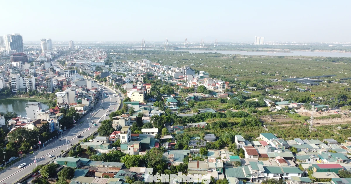 tienphong.vn