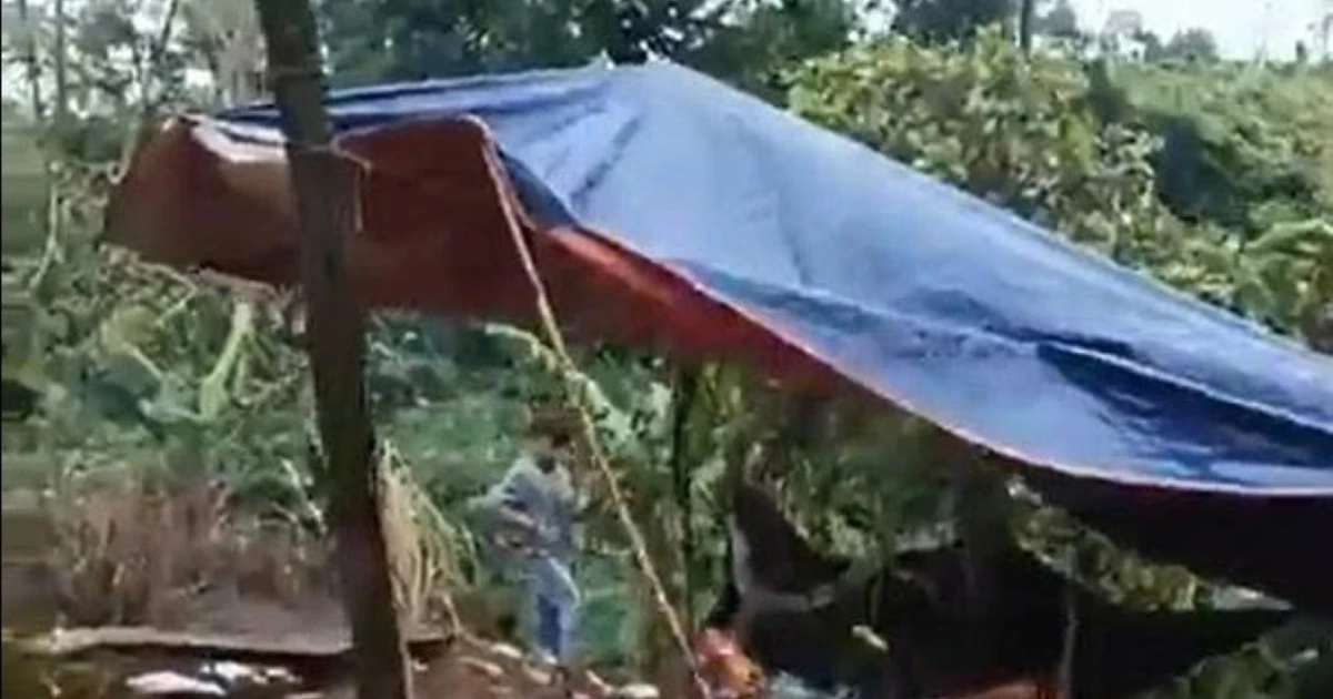 Lời khai của nam giáo viên hại nữ nhân viên thư viện cùng trường