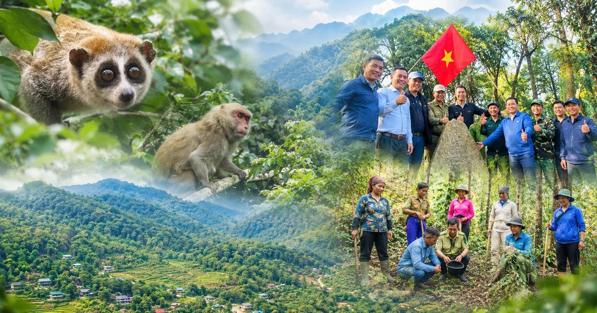 Bảo tồn đa dạng sinh học Pù Luông: Giữ ‘báu vật’ đại ngàn