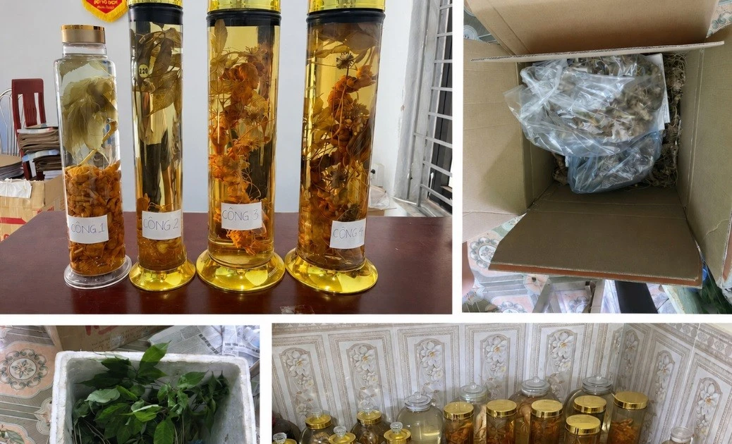 Cô gái lừa bán Sâm Ngọc Linh trên mạng