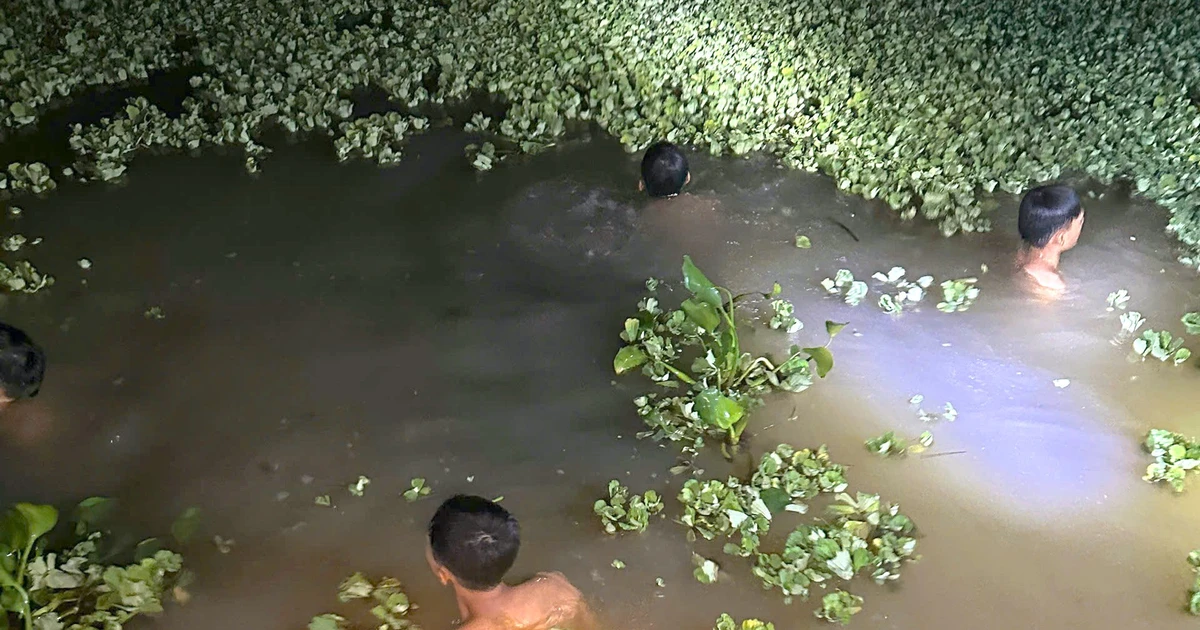 Bé gái mất tích, tìm thấy thi thể dưới ao nước gần nhà