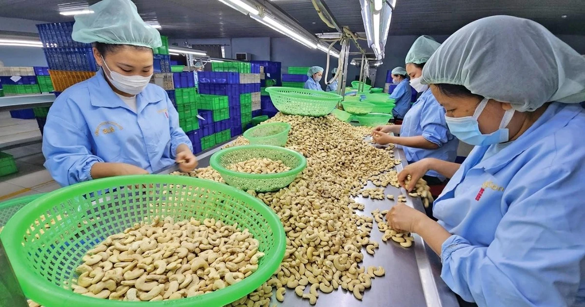 Nhiều thị trường thay đổi quy định nhập khẩu nông sản, thực phẩm