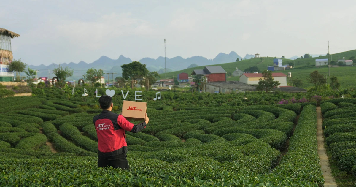 J&T Express hỗ trợ hộ kinh doanh chè Thái Nguyên từ quản lý đơn đến giao nhận