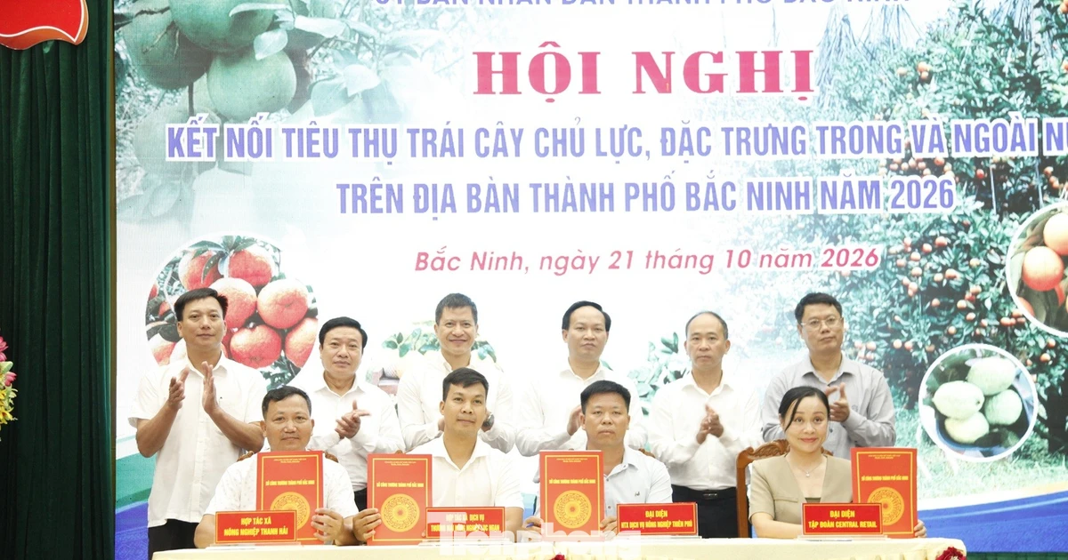 Bắc Ninh xúc tiến tiêu thụ trái cây chủ lực