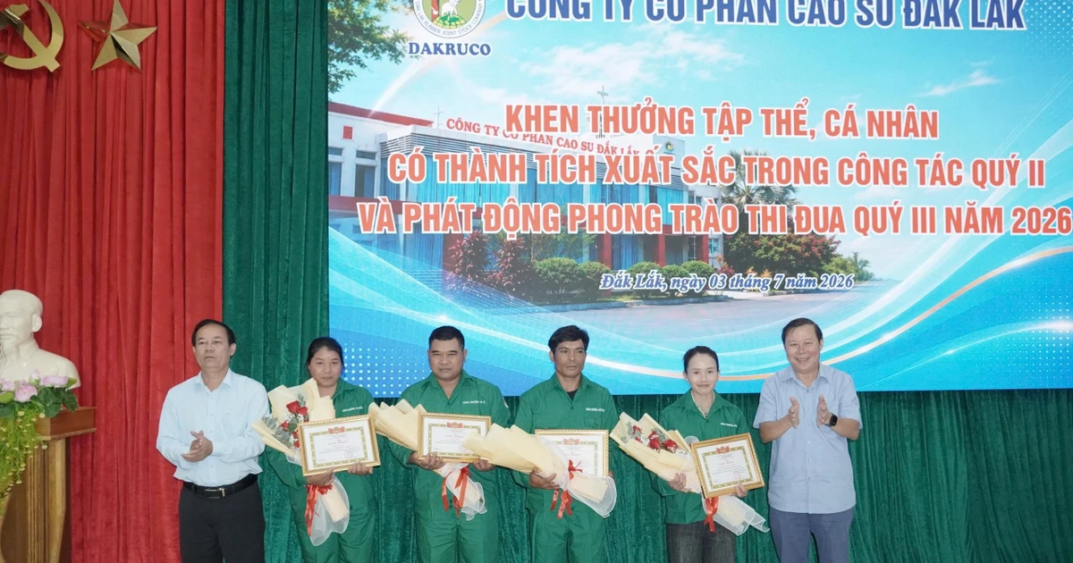 Dakruco đẩy mạnh xuất khẩu Cao su và mở rộng sang Sầu riêng