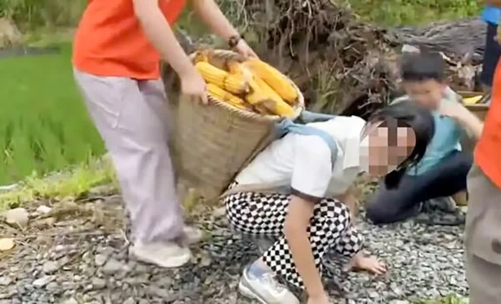 Chi hàng chục triệu đồng cho con 'nếm trải' gian khổ