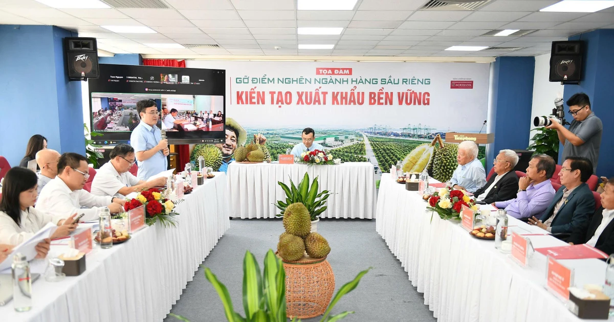 Sầu riêng Việt Nam: Tăng trưởng tỷ USD và bài toán quản trị ngành hàng