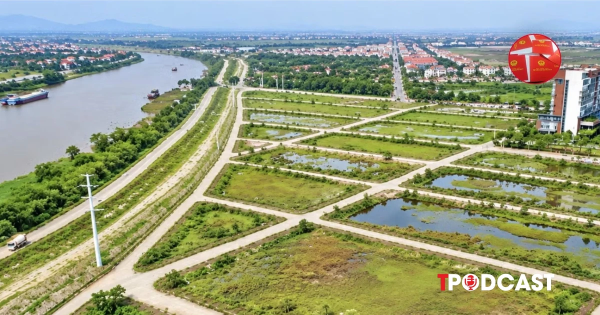 Đất bỏ hoang bao lâu bị đánh thuế 0,2%?