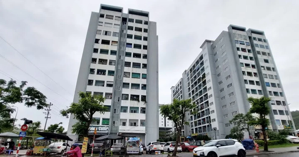 Đề xuất hỗ trợ mua nhà ở đến 800 triệu đồng để thu hút nhân tài