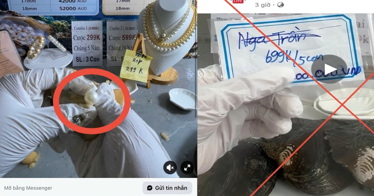 Mồi nhử tiền tỷ sau những phiên livestream khui ngọc trai