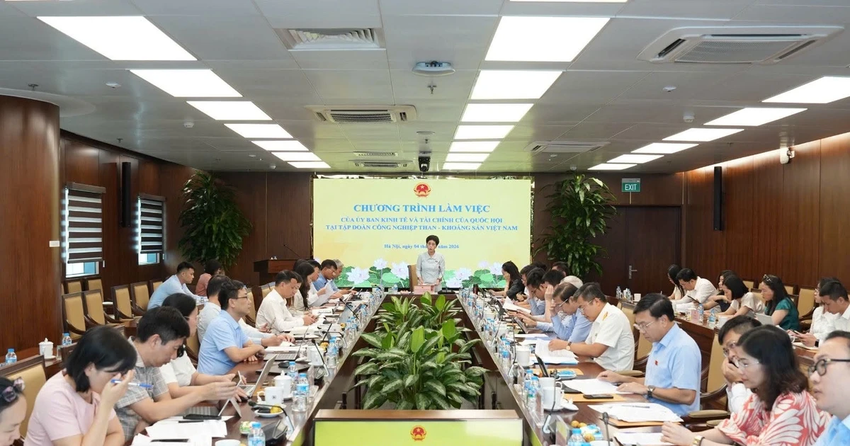 Вьетнамская TKV предложила снизить налог на добычу угля с 10–12% до 6–8%