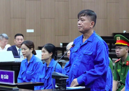Nhận hối lộ 16 tỷ đồng, luật sư cho rằng cựu Thứ trưởng Nguyễn Bá Hoan phạm tội 'không vì tiền'